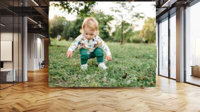 Boy catches soap bubbles in nature. Toddler little cute walking and playing in spring garden. 2 year old boy enjoying on green grass in park on sunny summer day. Outdoors creative activities for kids. Wall mural