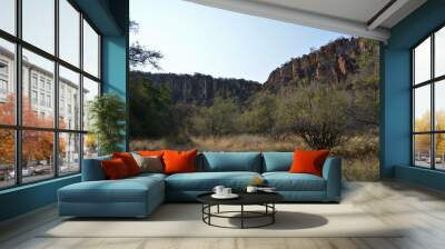 Bright multi-colored trees grow at the foot of mountains in the desert of Namibia, Africa Wall mural