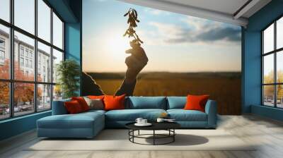 Close up of soybean in farmer's hand. Plant care and protection concept. Wall mural