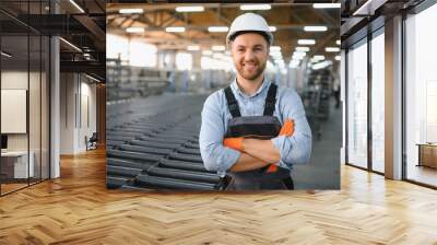 Factory worker. Man working on the production line. Wall mural