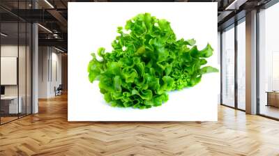 fresh green lettuce salad leaves isolated on white background Wall mural