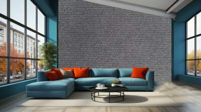 Gray fabric texture. Textile background. Wall mural