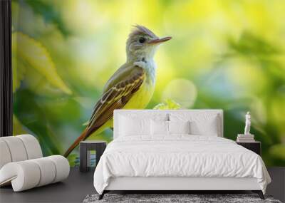 Great Crested Flycatcher. Beautiful Bird Perched on Shepherd's Hook in Green Garden of Louisiana, Wall mural