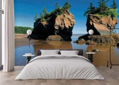 Hopewell Rocks at Low Tide: Discovering the Wonders of the Bay of Fundy in New Brunswick Wall mural