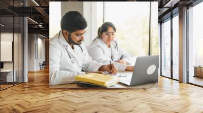 Indian medical student. Indian doctor. Concept of education Wall mural