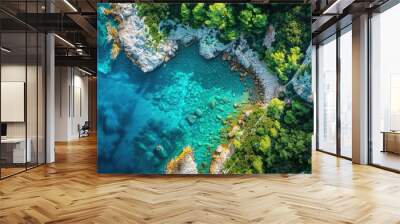 Land And Sea. Aerial View of Beautiful Coastal Area with Clear Blue Mediterranean Water and Lush Green Forest Wall mural