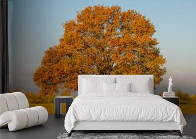 lonely tree in a field in autumn Wall mural