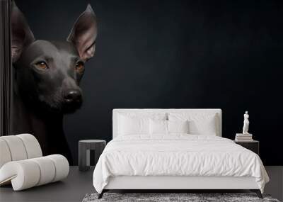 Mexican Hairless Dog Xoloitzcuintli purebred beautiful breed of dog, background nature Wall mural