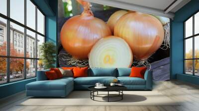 Nature's Best: Halved Vidalia Onion, a delicious yellow vegetable layer for your favorite food Wall mural