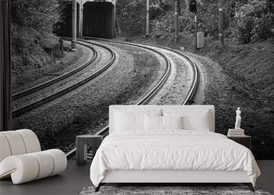 Railroad, two tracks. The frame is a smooth rotation. Entry into the tunnel. Black and white photo, high contrast. The picture shows trees, bushes, grass. Wall mural