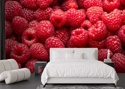 Raspberries. Fresh juicy raspberries bright background. Wall mural