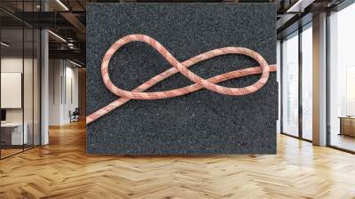 Twisted climbing rope on a black background. High-altitude works concept. Wall mural