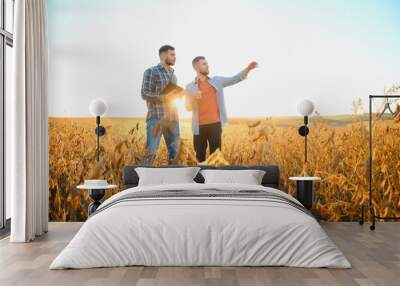 Two farmers in a field examining soy crop at sunset Wall mural