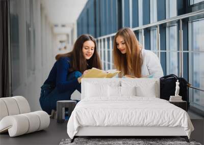 two pretty female students with books sitting on the floor in the university hallway Wall mural