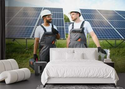 Two workers installing solar panels Wall mural