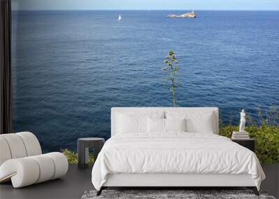 View of a distant yacht in the sea and an island on the horizon under a blue sky. In the foreground is a plant and grass Wall mural