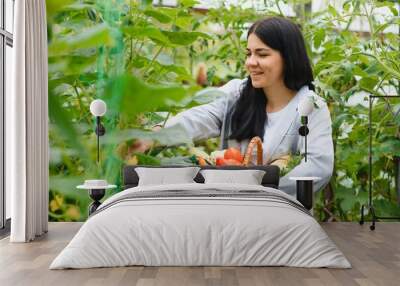 View of an Young attractive woman harvesting vegetable in a greenhouse Wall mural