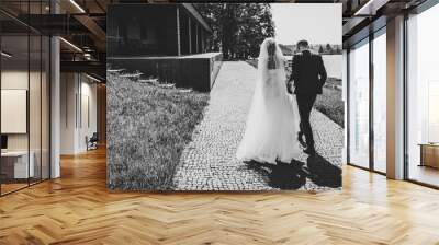 Wedding couple walking in nature. Back view. The bride and groom walk back near lake. Portrait of an attractive couple in country. Newlyweds getting married outdoors. Black and white photo. Wall mural