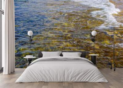 Yellow stone beach Ayia Napa with blue clear sea and green plants in the loukkos tou Mandi beach area Wall mural