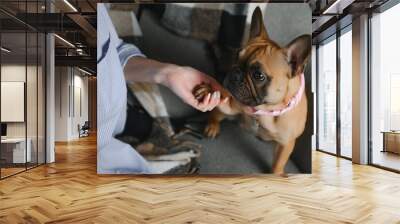 Young pretty woman in casual clothes hugging her dog sitting on the sofa in the living room of her cozy country house. Animal communication concept Wall mural