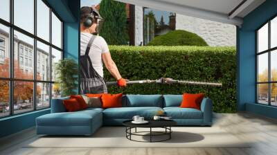 Back view of caucasian man in overalls, safety gloves and mask cutting bushes during summer day. Competent gardener taking care of backyard plants. Wall mural