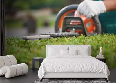 Close up of hedge trimmer cutting bushes to ideal fence. Wall mural