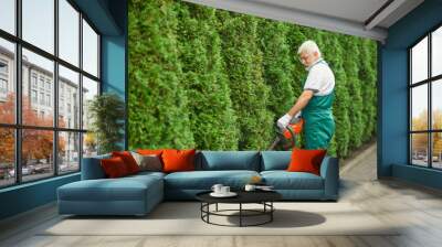 Male gardener cutting bushes of white cedar. Wall mural