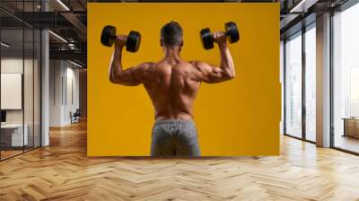 Strong athletic guy doing exercise with dumbbells Wall mural