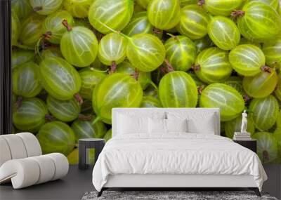 Fresh and green gooseberries background. Closeup Wall mural