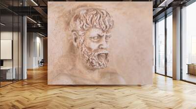 ancient statue, portrait of a roman emperor Wall mural