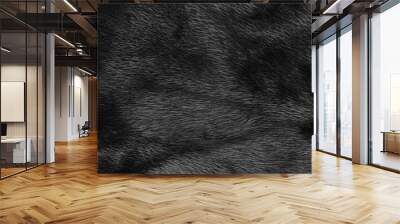 Black fur texture Wall mural