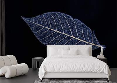 blue transparent leaf on a black background Wall mural