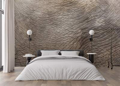 Elephant skin texture Wall mural