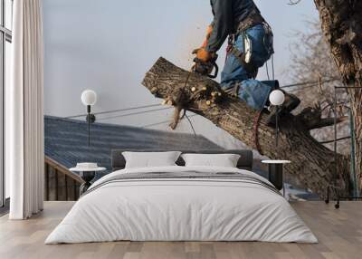 professional arborist with a chainsaw on a tree Wall mural