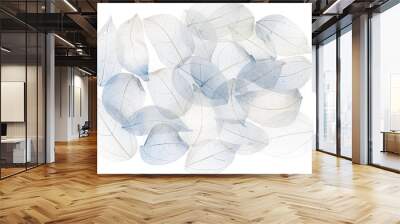 Transparent backdrop texture of colorful blue floral leaves Wall mural