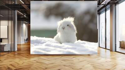 white funny fluffy rabbit in the snow Wall mural