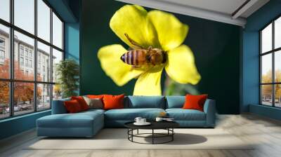 Bee pollinating flower Wall mural