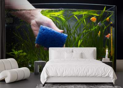 Clean aquarium glass. Change water in aquarium. Wall mural