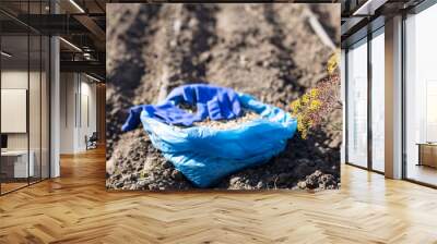 planting seeds for drip irrigation Wall mural