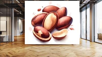  Watercolor illustration of Brazil nuts with their distinctive brown and white shell pattern, shown whole and in pieces on a white background. The illustration captures the nuts' smooth texture and ri Wall mural