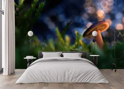 Mushroom. Beautiful cute mushrooms of the forests. Nature background.  Wall mural