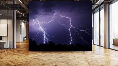 Lightning Wall mural