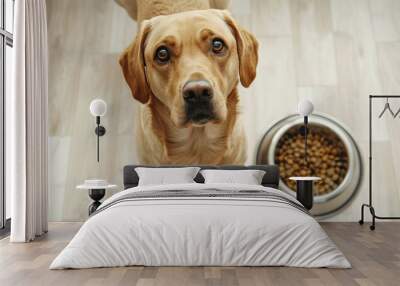 a dog is standing in front of a bowl of food. the dog is looking at the camera with a sad expression Wall mural