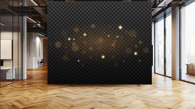 Abstract golden lights on a dark transparent background. Glares with flying glowing particles. Ligh effect. Vector illustration Wall mural