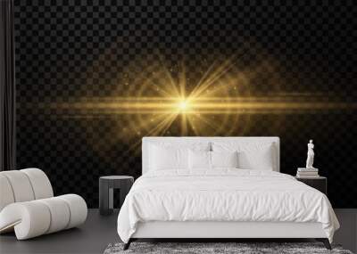 Stylish golden light effect on a dark transparent background. Vector footage for your project. Explosion with glowing sparks. Magic beams. Bright flare with rays. Wall mural