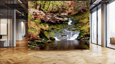 A river scene from Ardennes region hiking paths in Belgium Wall mural