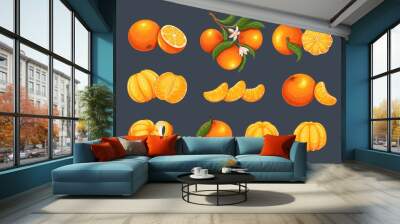 Mandarin set vector illustration. Isolated whole sweet citrus fruit, orange twist peel, fresh mandarin in slices and cut in half, tropical clementine with blossom and leaves on tree branch Wall mural