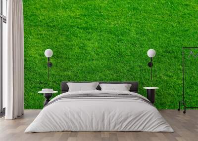 green grass 2 Wall mural