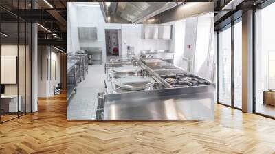 Interior of the professional kitchen Wall mural