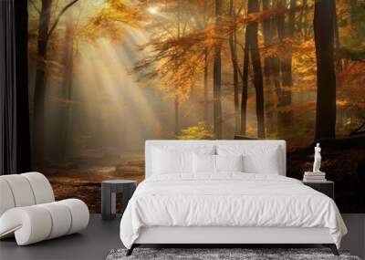 autumn fall wood light landscape illustration mist weather, beautiful season, background tree autumn fall wood light landscape Wall mural